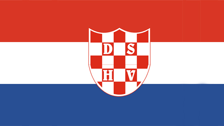 DSHV - Srbija izbori